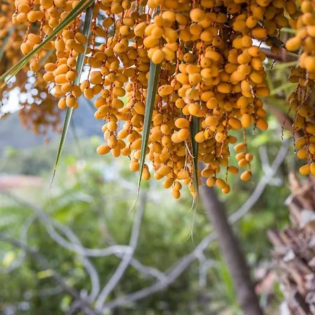 Апартаменты Villino Beatrice Фетовайя