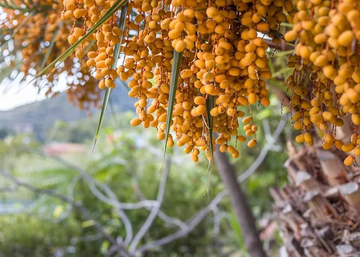 Апартаменты Villino Beatrice Фетовайя